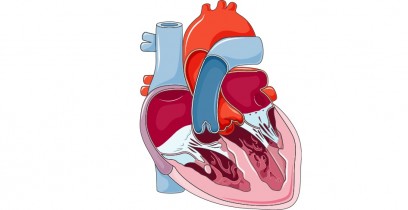 MRI Technique Accurately Predicts Heart Failure Risk