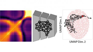 Scientists Pair AI with X-Rays to Create Material Fingerprints