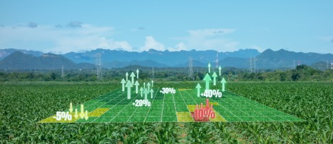 The Power of Machine Vision in Precision Agriculture Practices