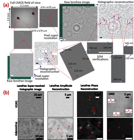 CLEO 2013: Virus counting outside the lab - Novus Light Today