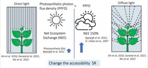 Differences between sunny days and cloudy days Left on sunny days, the sun shines directly and mainly reach the top leaves Right on cloudy days, sunlight is scattered in all directions, which allows lower leaves to receive more light Recognizing this diff