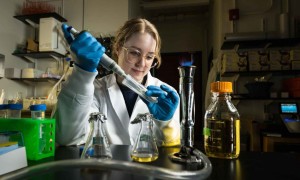 BIOGLASS MENAGERIE Graduate student Lynn Sidor prepares bacteria cells that will self-assemble their own glass coating using enzymes from sea sponges Sidor is working with biologist Anne Meyer and colleagues in optics and physics to create tiny, bacteria-